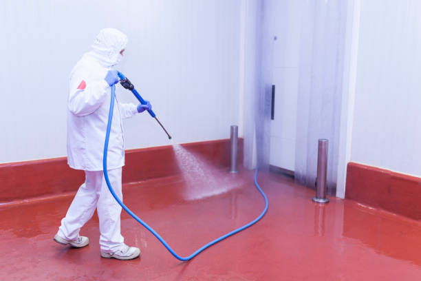 Best Graffiti Removal Services in Lockney, TX